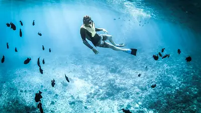 Las maravillas del buceo profundo Las maravillas del buceo profundo
