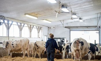 EEUU y los países europeos estudian vacunar a los trabajadores expuestos a la gripe aviar | Salud