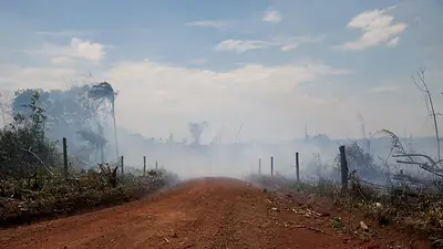 Operaciones de destrucción de carreteras ilegales en la Amazonia colombiana están paralizadas: fuentes Operaciones de destrucción de carreteras ilegales en la Amazonia colombiana están paralizadas: fuentes