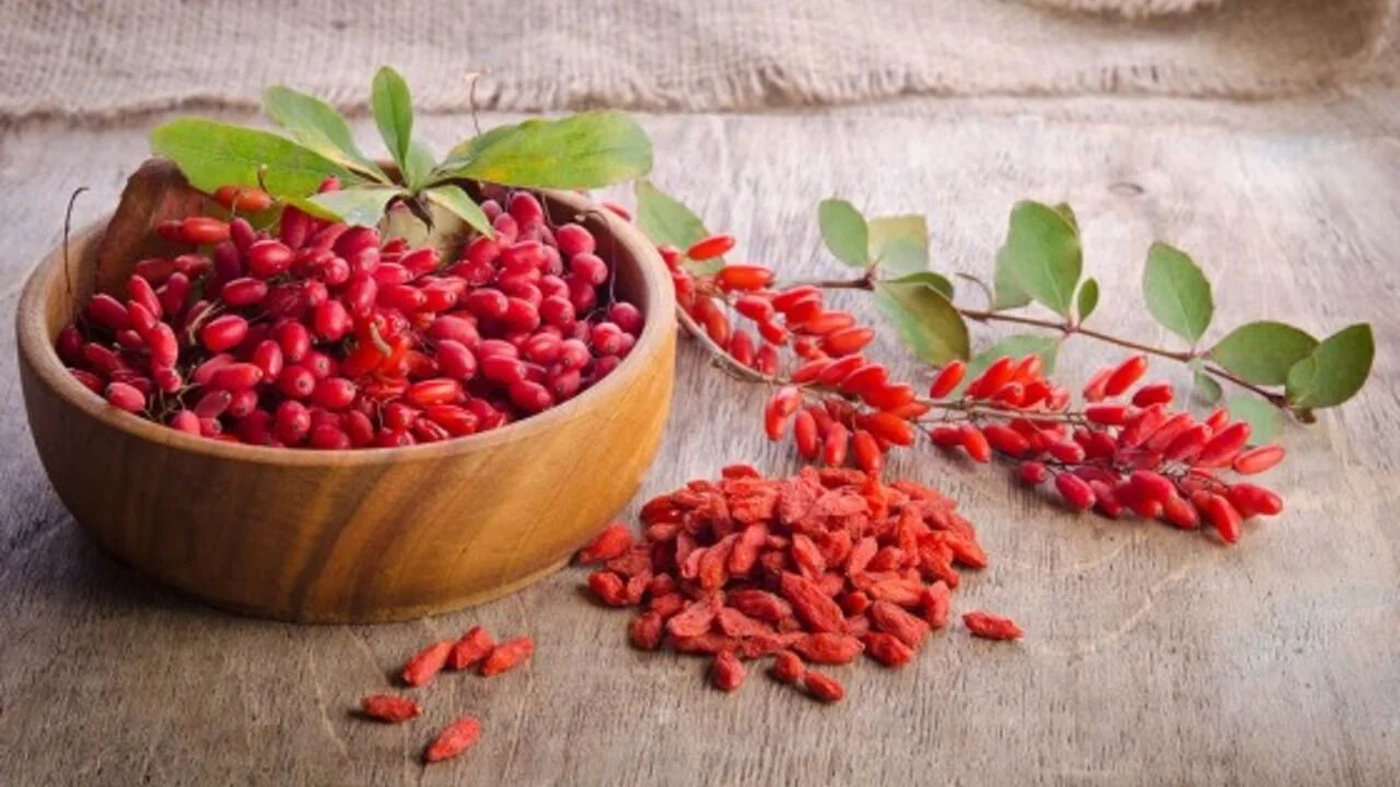 Bayas de goji