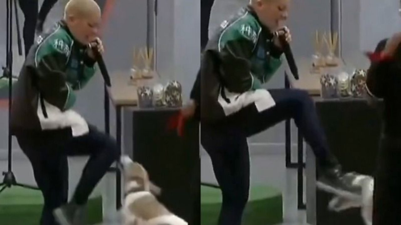 Furia de Gran Hermano le pegó al perro Arturo y piden su expulsión directa.