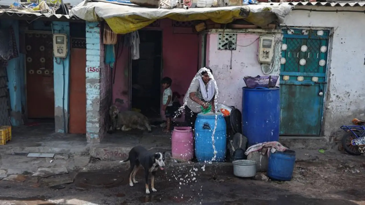 Animales se desploman y escasea el agua en medio del calor abrasador de la India