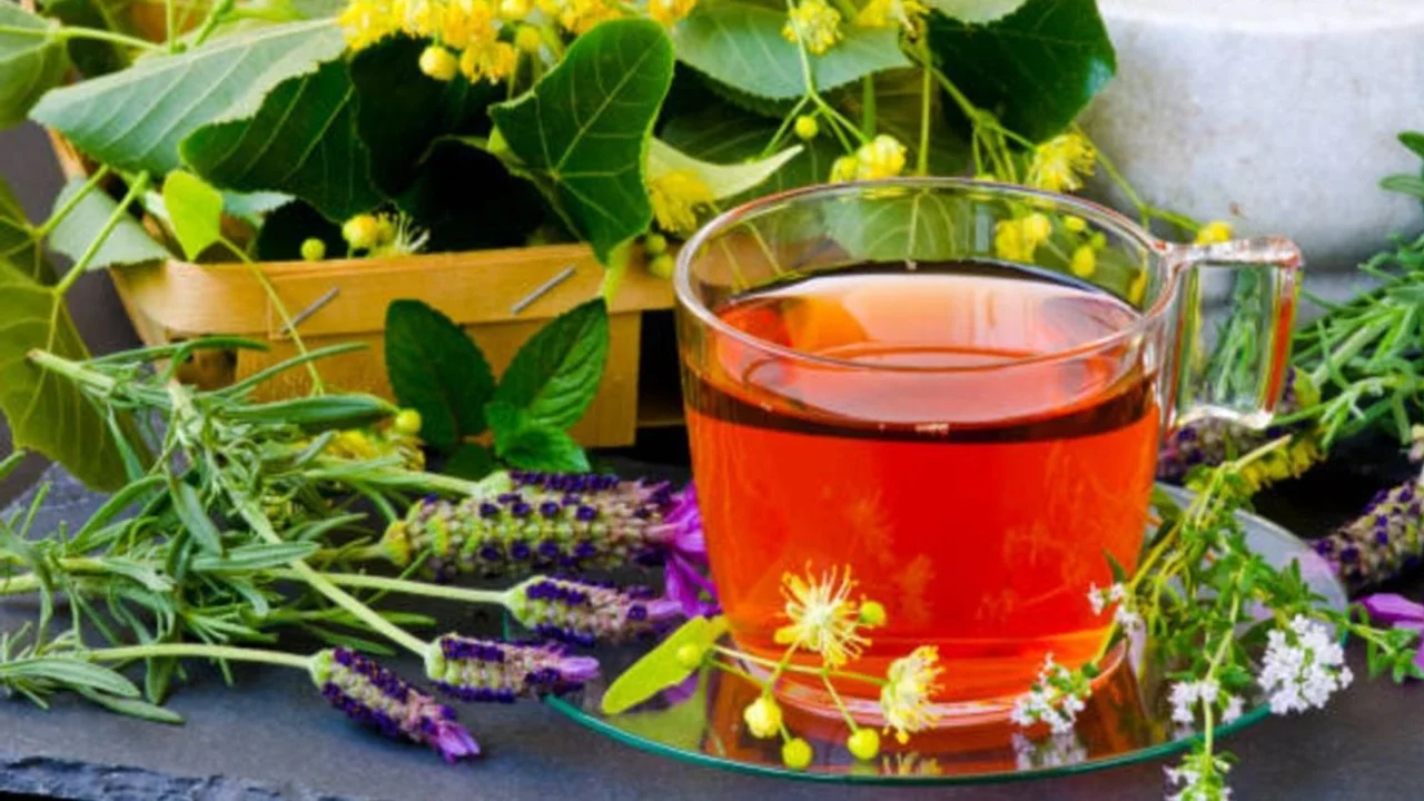 Té de hierbas