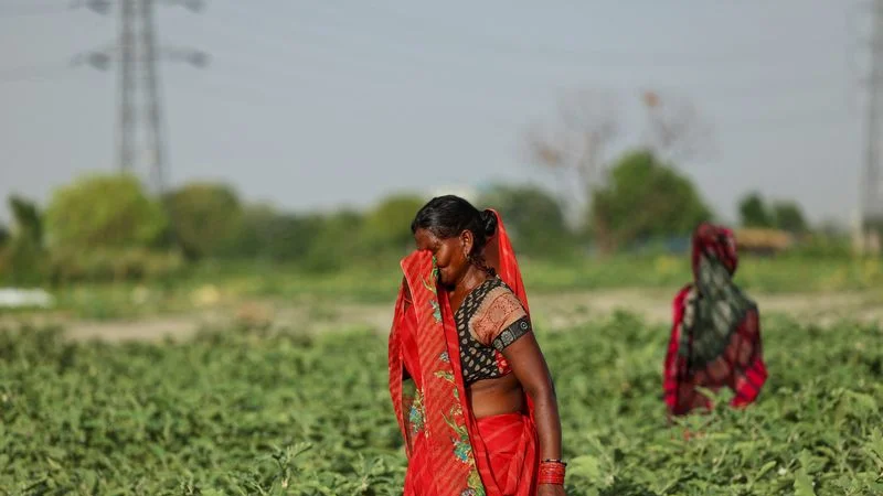 Mueren al menos 15 personas en el este de la India en 24 horas por la subida de las temperaturas