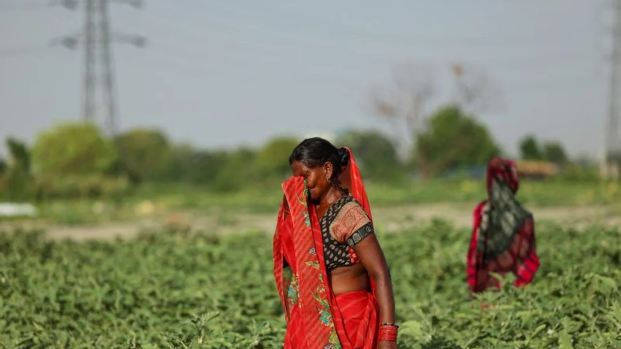 Mueren al menos 15 personas en el este de la India en 24 horas por la subida de las temperaturas