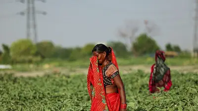 Mueren al menos 15 personas en el este de la India en 24 horas por la subida de las temperaturas Mueren al menos 15 personas en el este de la India en 24 horas por la subida de las temperaturas