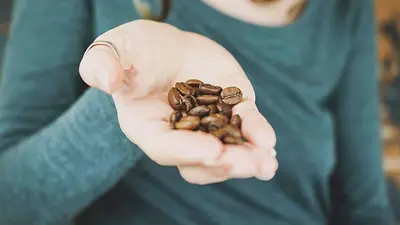 Café Café