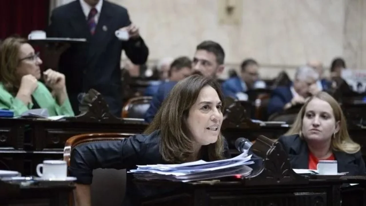 Comida retenida: la UCR pide que Pettovello brinde explicaciones en el Congreso