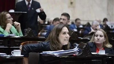 Comida retenida: la UCR pide que Pettovello brinde explicaciones en el Congreso Comida retenida: la UCR pide que Pettovello brinde explicaciones en el Congreso