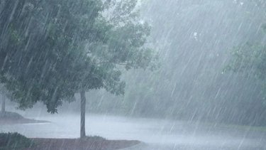 Alerta meteorológica por vientos y lluvias para estas provincias: ¿Qué dice el pronóstico del tiempo?