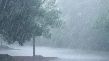 Alerta meteorológica por vientos y lluvias para estas provincias: ¿Qué dice el pronóstico del tiempo?