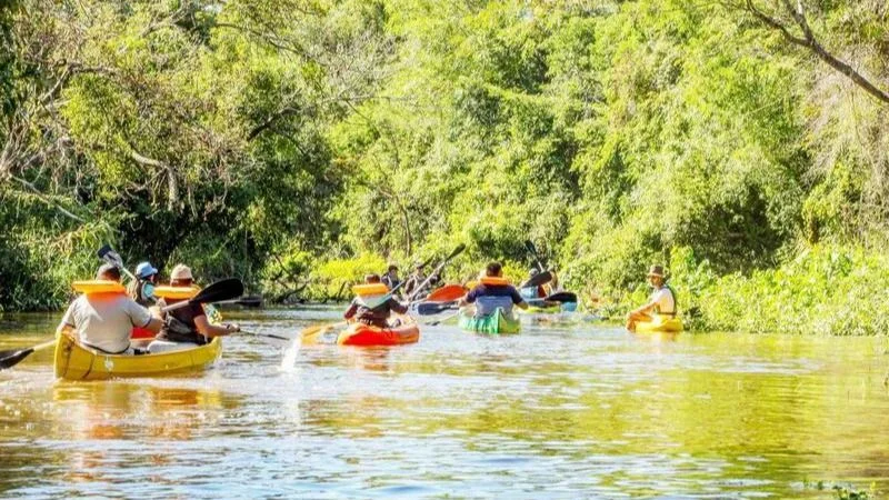Competencia de kayaks en Formosa