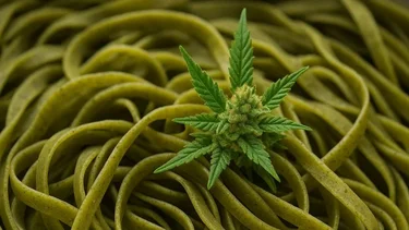 Santa Fe: dijeron que eran fideos, pero llevaban más de 200 kilos de marihuana 