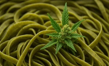 Dijeron que eran fideos, pero llevaban más de 200 kilos de marihuana  | El destape santa fe