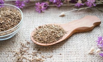 ¿La valeriana es natural? Qué propiedades tiene | Salud