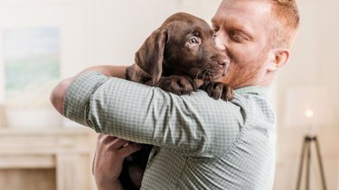 Una empresa argentina otorga licencia por adopción de mascotas: un nuevo derecho laboral en clave pet friendly