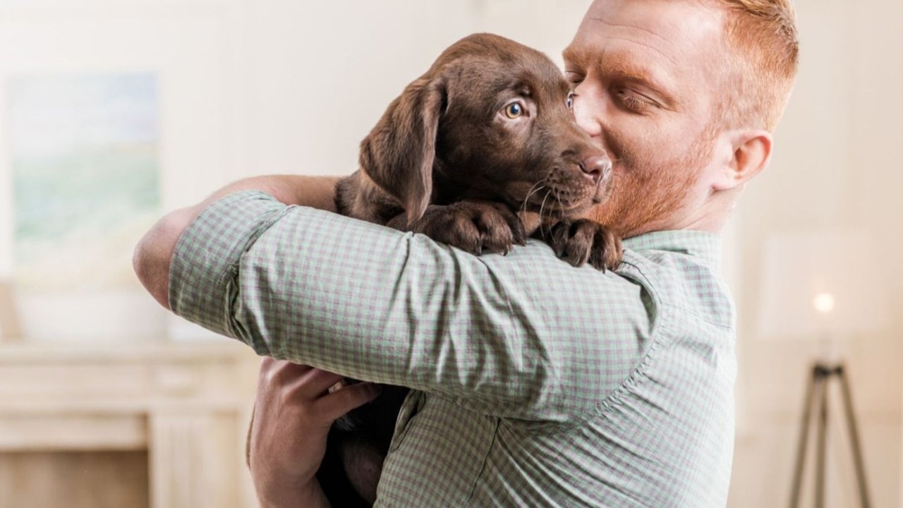 Una empresa argentina otorga licencia por adopción de mascotas: un nuevo derecho laboral en clave pet friendly