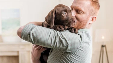 Una empresa argentina otorga licencia por adopción de mascotas: un nuevo derecho laboral en clave pet friendly
