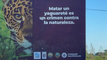 Conservación animal en Formosa: el Gobierno lanzó una nueva iniciativa para proteger la fauna silvestre en la región