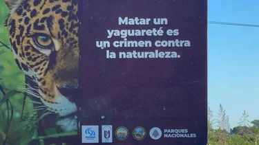 Conservación animal en Formosa: el Gobierno lanzó una nueva iniciativa para proteger la fauna silvestre en la región