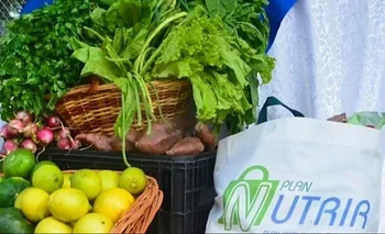 Plan Nutrir: ocho años de asistencia alimentaria y producción local en Formosa | Alimentos