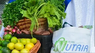 Plan Nutrir: el programa alimentario formoseño que cumple siete años al servicio de la comunidad Plan Nutrir: el programa alimentario formoseño que cumple siete años al servicio de la comunidad