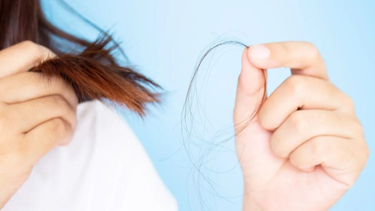 Caída del pelo en otoño: la guía rápida para saber si es normal o se necesita tratamiento