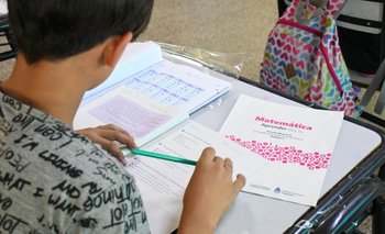 Aprender 2024: sólo un 26,4% de alumnos comprenden los textos que leen | Educación