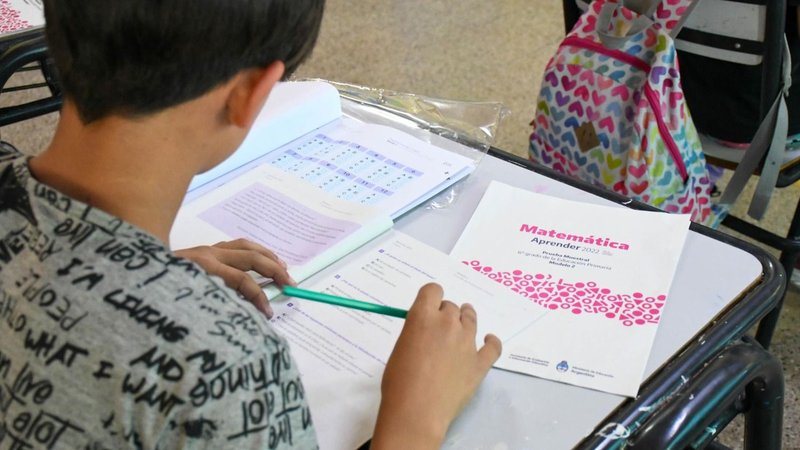 Aprender 2024: sólo un 26,4% de alumnos comprenden los textos que leen