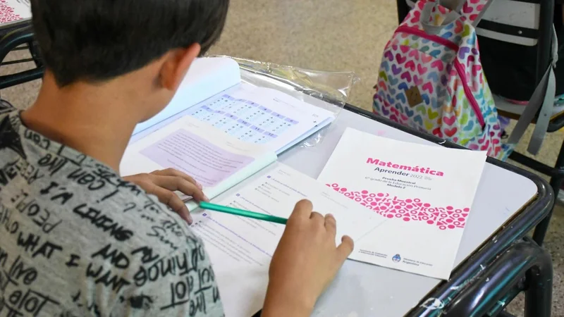 Aprender 2024: sólo un 26,4% de alumnos comprenden los textos que leen