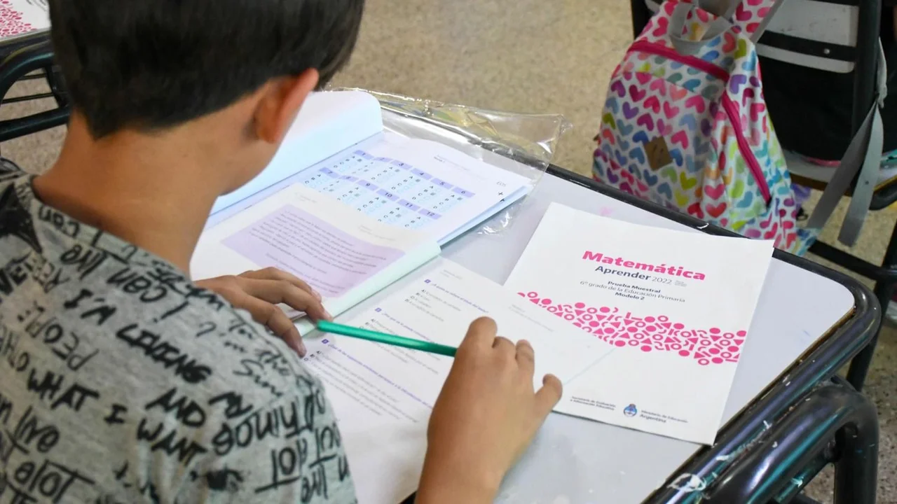 Aprender 2024: sólo un 26,4% de alumnos comprenden los textos que leen