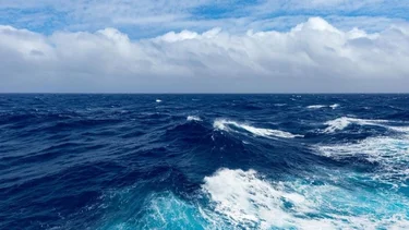 Podría nacer un nuevo océano: furor en la ciencia por el fenómeno que está pasando en África