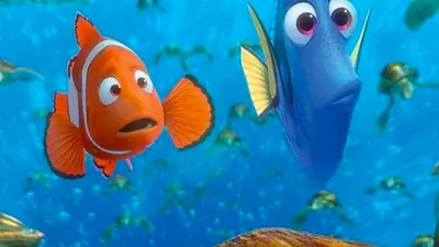 Buscando a Nemo Buscando a Nemo