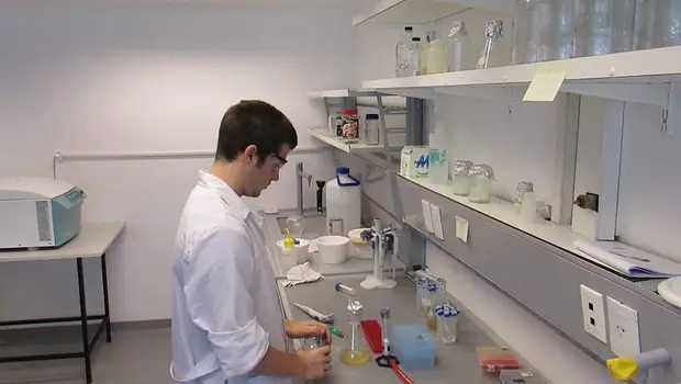 De la parálisis al colapso: la ciencia sin rumbo ni respaldo | Crisis en la ciencia