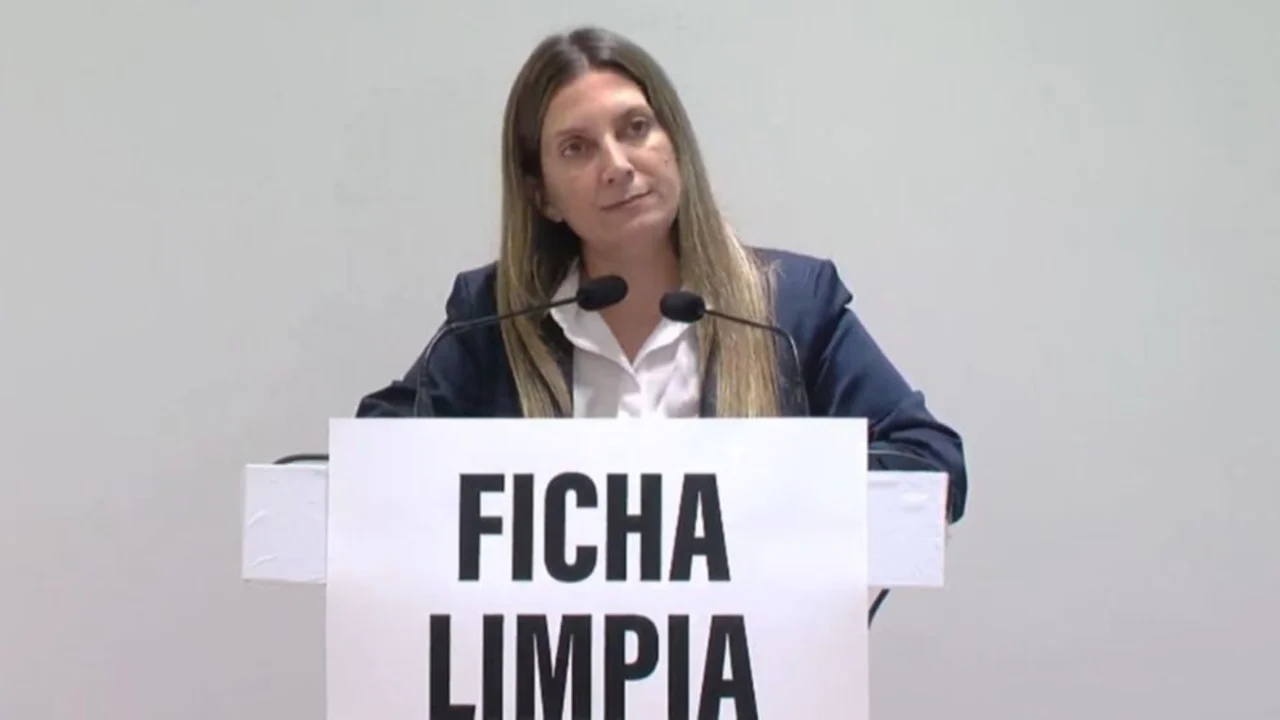 Lospennato responsabilizó a Milei por la caída de Ficha Limpia: "Fiambre"