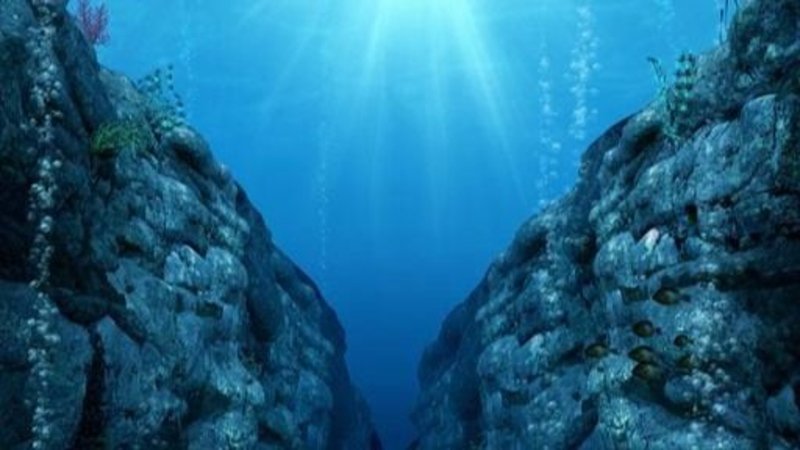 Cuál es la especie de ballena que reapareció en Argentina. Ballena Sei que es. Cuál es la ballena y por qué la creían extinnta.