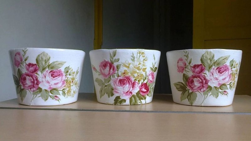 Macetas plantas