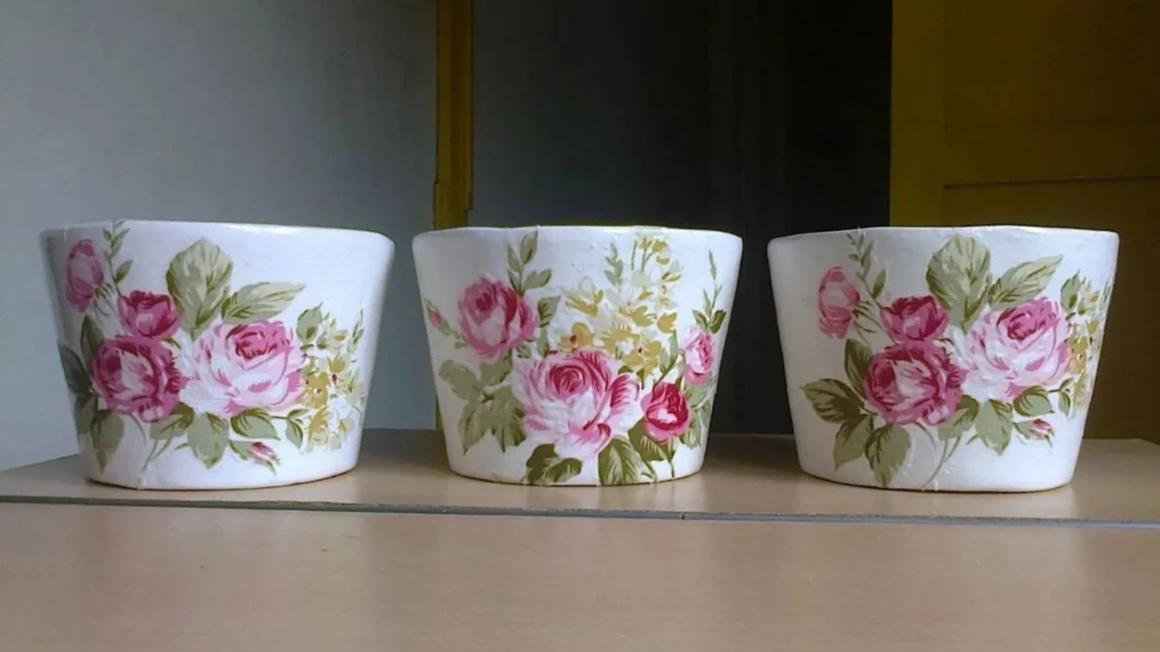 Macetas plantas