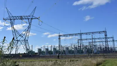 Un revés a la motosierra: Formosa frenó el desmantelamiento del vinculo energético con Paraguay Un revés a la motosierra: Formosa frenó el desmantelamiento del vinculo energético con Paraguay