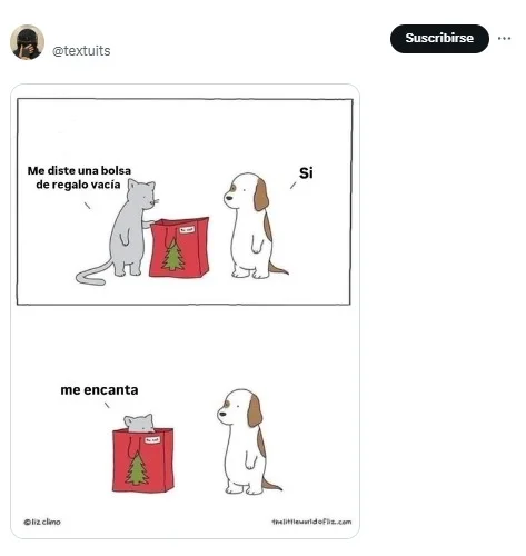 gatos, animales, cajas, cartón, bolsas, mascotas