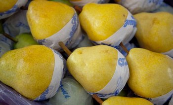 Alerta entre productores de economía regional clave por la apertura comercial | Importaciones