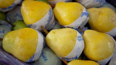 Alerta entre los productores de una economía regional clave por la apertura comercial de Milei