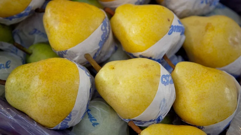 Alerta entre los productores de una economía regional clave por la apertura comercial de Milei