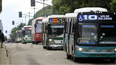 Colectivo Colectivo