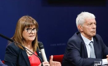 Contundente rechazo de expertos a la baja de puniblidad | Javier milei presidente