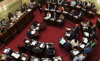 "Faltan estadísticas": piden informes en Santa Fe para debatir baja de imputabilidad | El destape santa fe