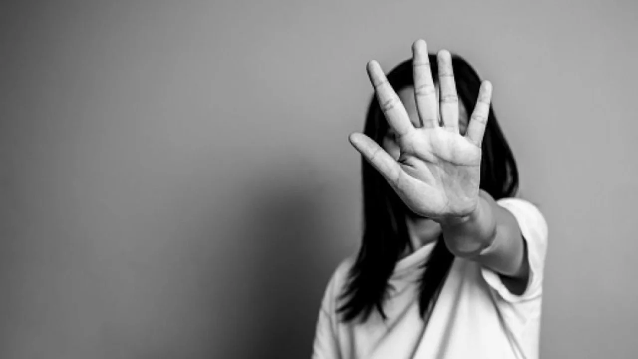 Violencia de género: desde la Legislatura riojana proponen un nuevo protocolo de actuación con más participación del Estado