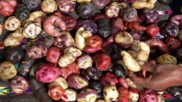 ¿Cuántas variedades de papa existen y cómo usarlas?