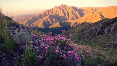 Cuál es el TOP 3 de destinos argentinos para visitar en mayo, según la IA