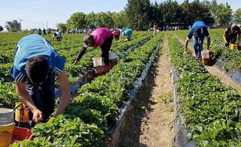 Agricultura Familiar en Marcha: PBA lanzó la cuarta convocatoria | Agricultura
